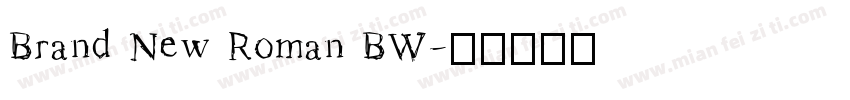 Brand New Roman BW字体转换